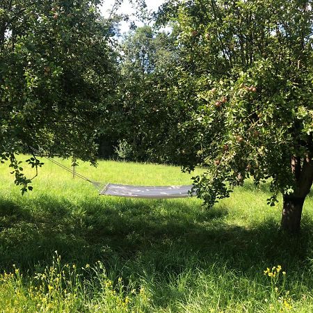 Limbach im BurgenlandSonnenhof公寓 外观 照片