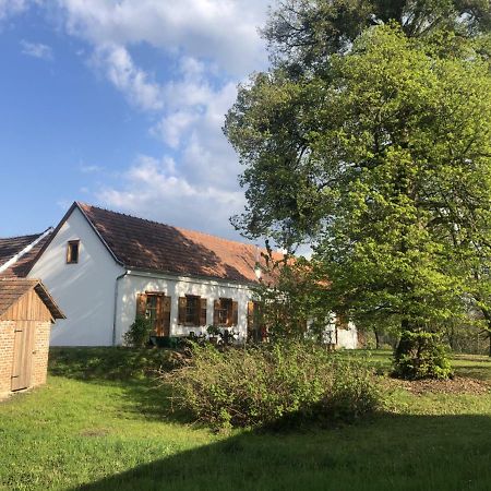 Limbach im BurgenlandSonnenhof公寓 外观 照片