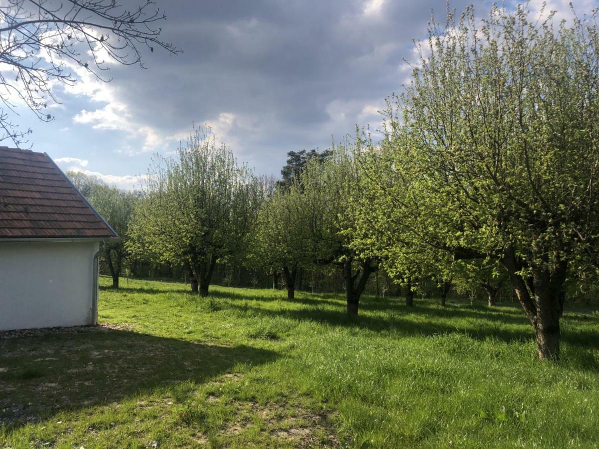 Limbach im BurgenlandSonnenhof公寓 外观 照片