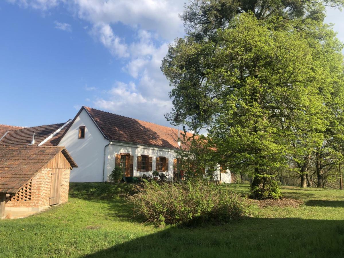 Limbach im BurgenlandSonnenhof公寓 外观 照片
