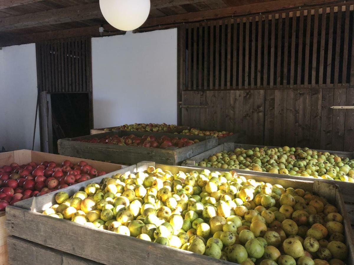 Limbach im BurgenlandSonnenhof公寓 外观 照片