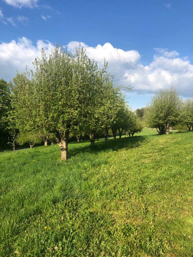 Limbach im BurgenlandSonnenhof公寓 外观 照片
