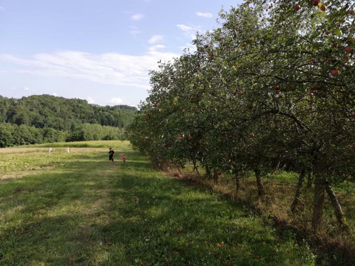 Limbach im BurgenlandSonnenhof公寓 外观 照片