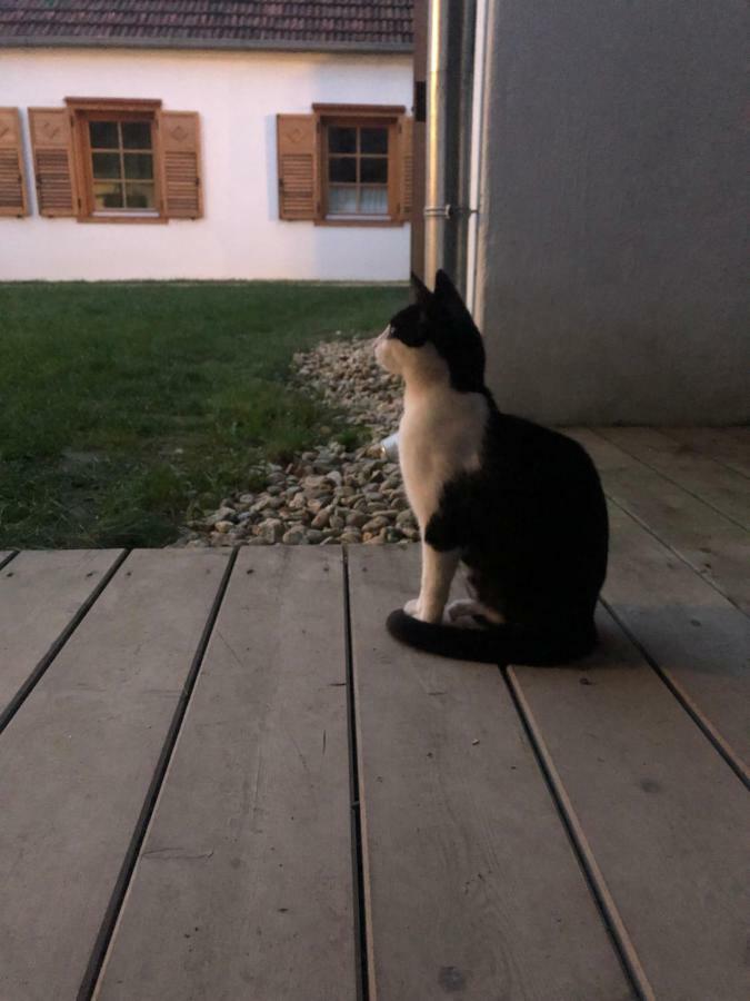 Limbach im BurgenlandSonnenhof公寓 外观 照片