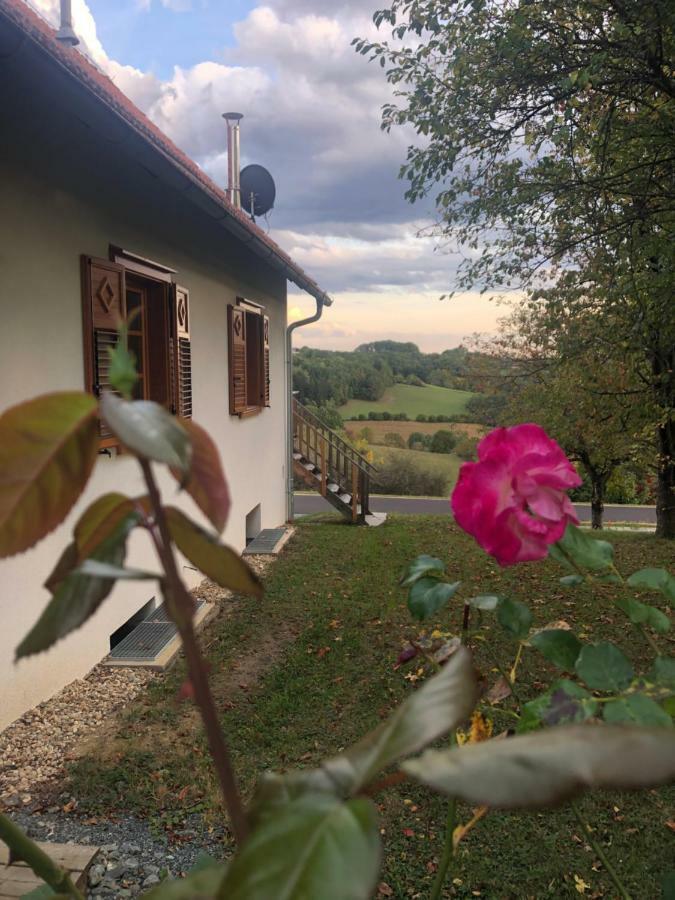 Limbach im BurgenlandSonnenhof公寓 外观 照片